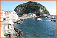 Ischia Transfer Service